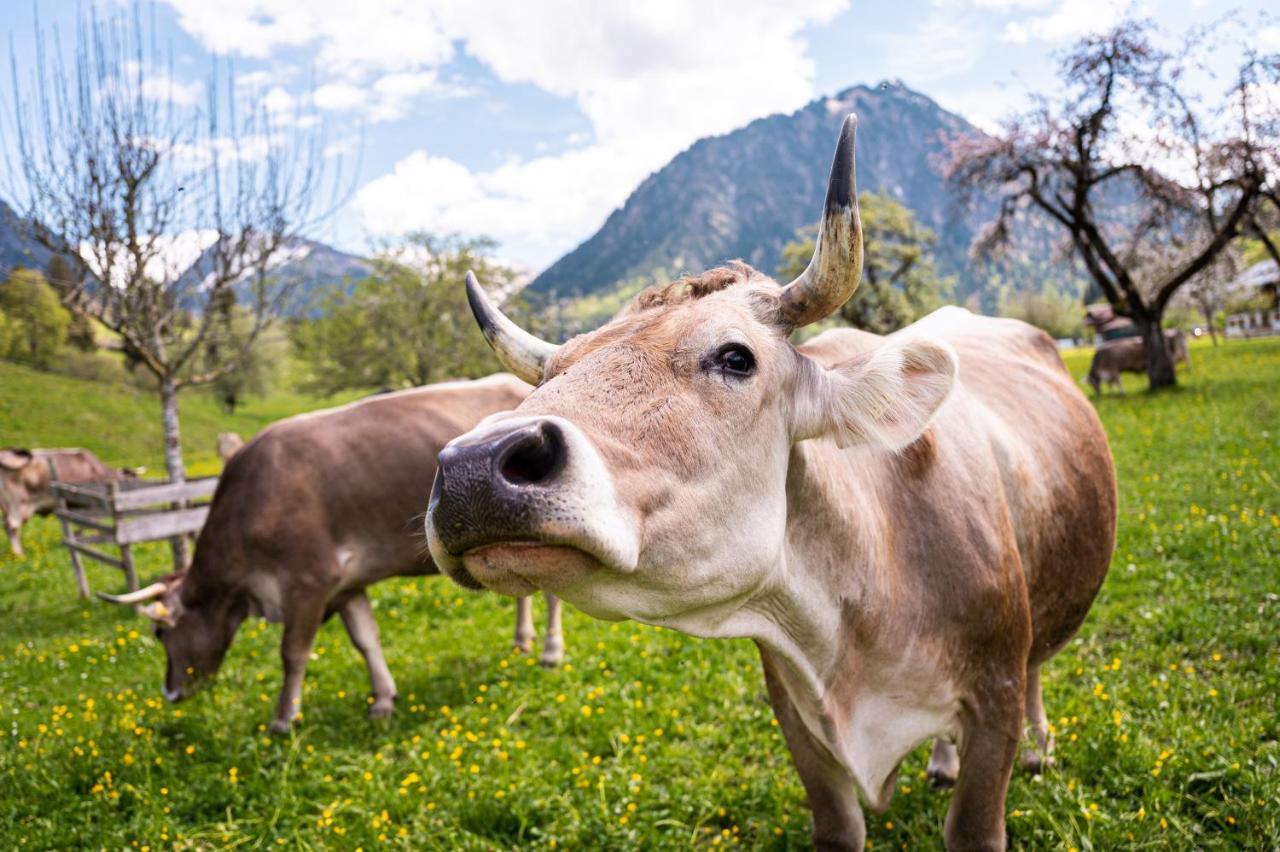 Landhaus Berktold Oberstdorf Eksteriør billede
