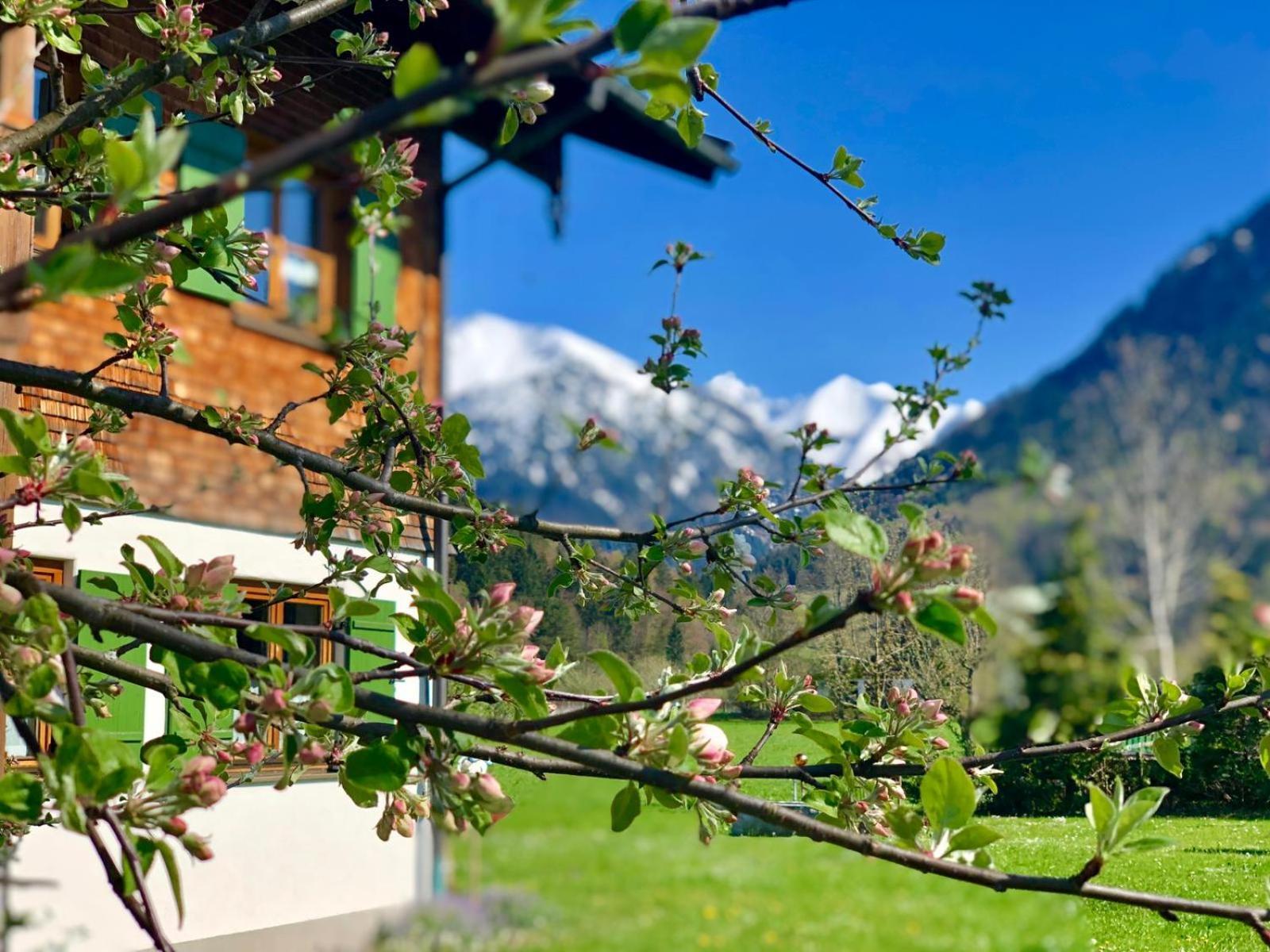 Landhaus Berktold Oberstdorf Eksteriør billede