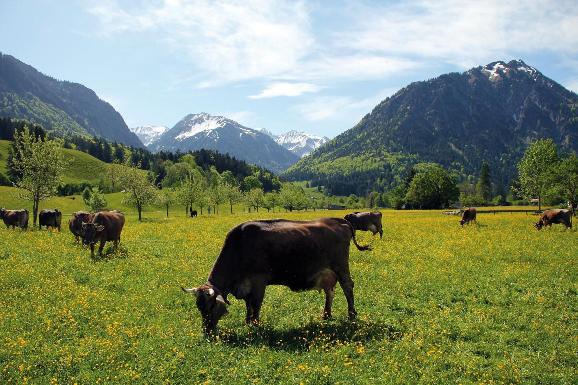 Landhaus Berktold Oberstdorf Værelse billede